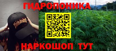 твердый Тара