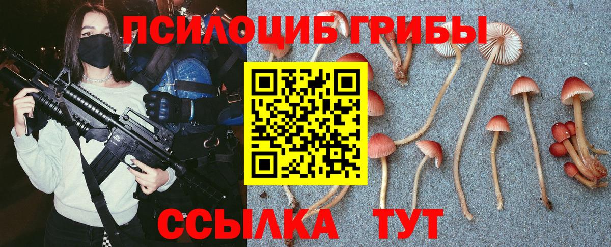 Новокубанск  Псилоцибиновые грибы ЛСД  Вход с VPN  Псилоцибиновые грибы MAGIC MUSHROOMS 